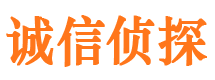 东川侦探